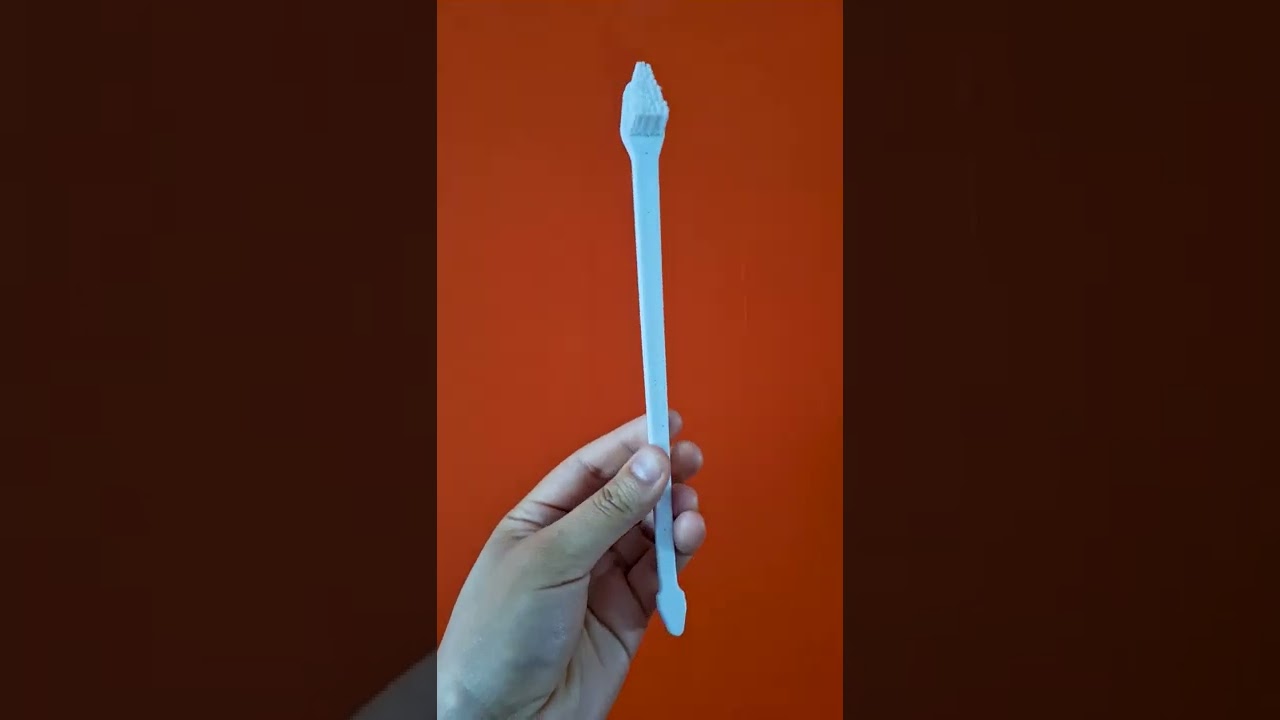 ✅ Cómo lavarle los dientes a tu perro SIN causarle un TRAUMA