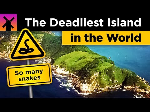 世界上最致命的島嶼。蛇島解讀 (The Deadliest Island in the World: Snake Island Explained)