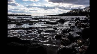 Laura Marling - Feel Your Love