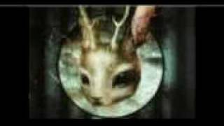 Jakalope - Don´t cry