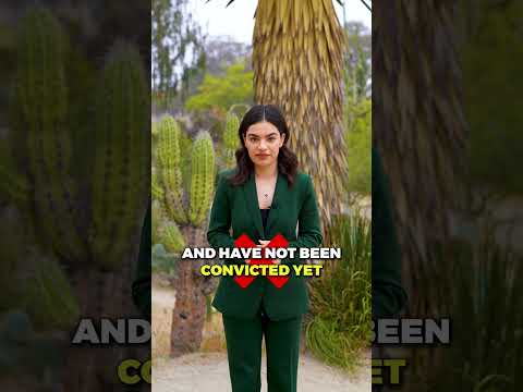 DIFERENÇA ENTRE CADEIA E PRISÃO