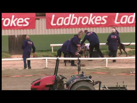 Fayes Jet - Ladbrokes Kent Derby (Heat 1)