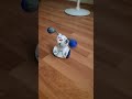 SILVERLIT KOMBAT ROBOT! #boxer #robot #asmr #combat #YT#trending #shorts