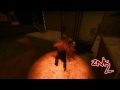 ZNk Vol 4 The Hybrid