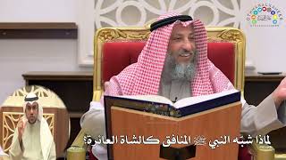 11 - لماذا شبّه النبي ﷺ المنافق كالشاة العائرة؟ - عثمان الخميس