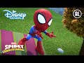 Spidey | Apenstreken ?️ | Disney Channel NL