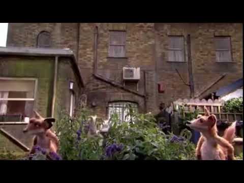 Mongrels | Marion on Catnip