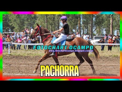 PACHORRA - San Bernardo - Chaco 21/04/2024