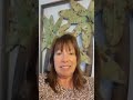 Friday Focus 1- Holiday Self Care/ breathing and meditation