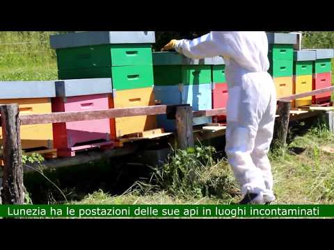 Produzione Veleno d'Api di Lunezia