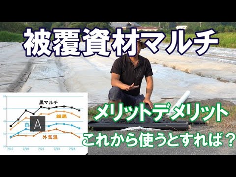 どのような種類のマルチを選択するか利点と欠点