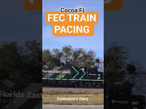 TRAINS Florida East Coast FEC US1 Cocoa FL Diamondback paint red fuel tank railroad pacing shot