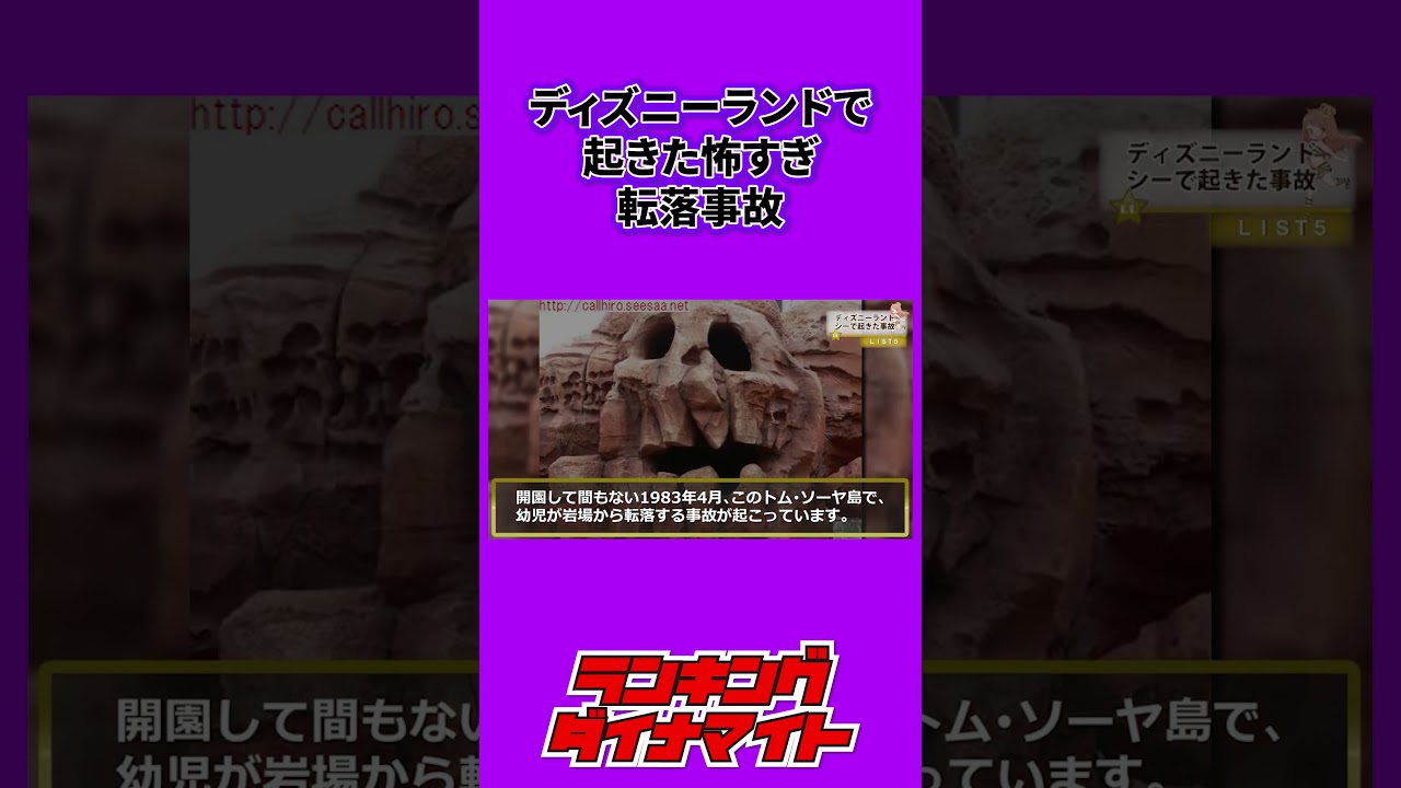 【転落】ディズニーランドで起きた衝撃の・・・