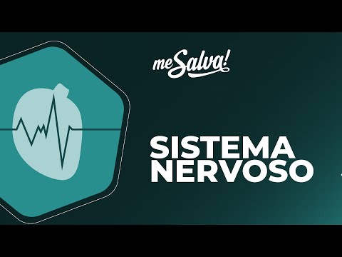Sistema Nervoso - Introdução - Fisiologia - Me Salva! Saúde