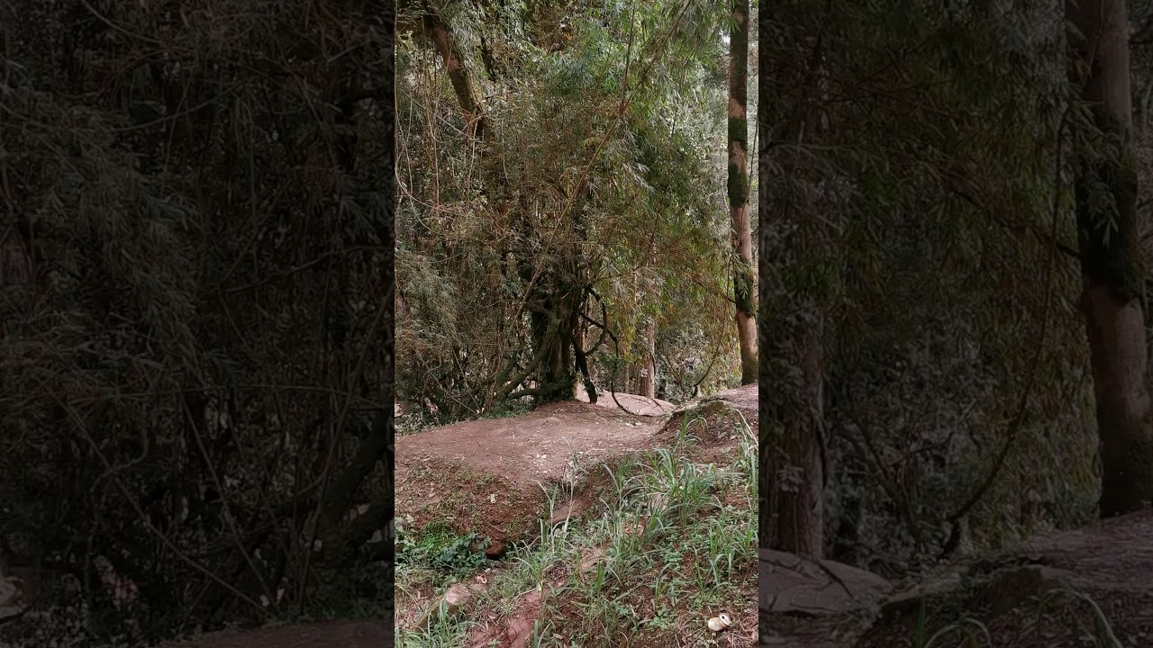 YouTube Short thumbnail