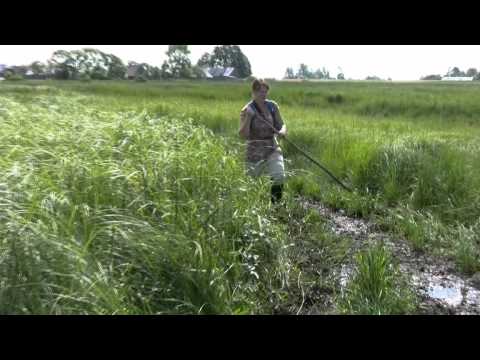 a week in Biebrza National Park