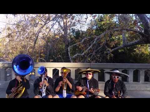 Bandachi - Zapatillas Ferragamo