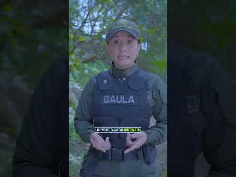 WhatsApp Video 2026 02 16 at 10 11 22 AM