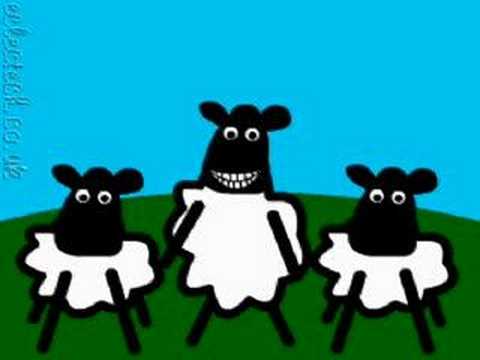 Sheep Dance to 