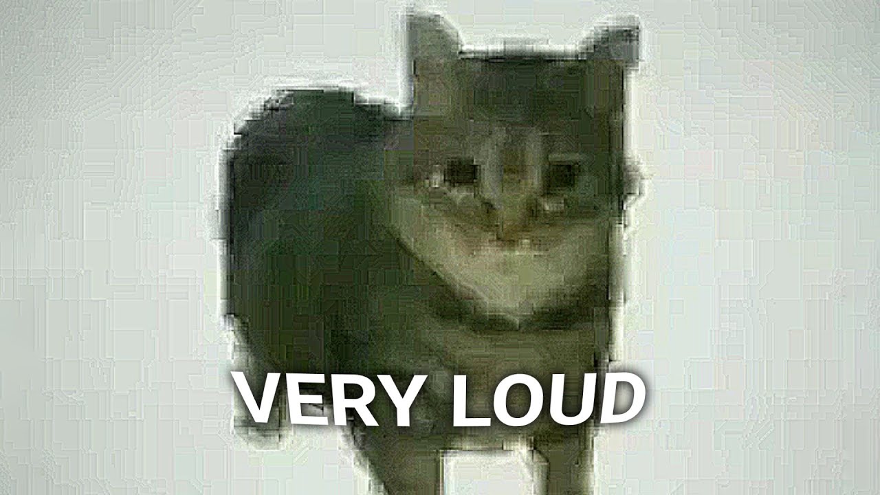 oiiaoiia spinning cat Sound Variations in 60 seconds