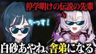 【あらなみマイクラ】伝説のヤンキー、サロメ先輩の舎弟になりたい白砂あやね【にじさんじ/切り抜き】