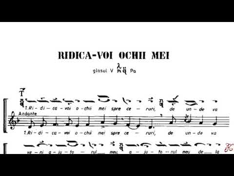 Ridica-voi ochii mei glas 5, Cântările Sfintei Liturghii