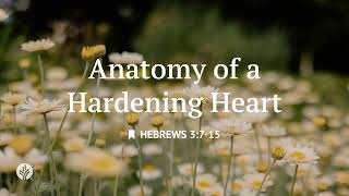 Anatomy of a Hardening Heart | Audio Reading | Our Daily Bread Devotional | May 18, 2026