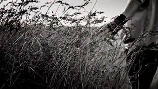 Soner.  Sarıkabadayı - GEL DE UYU