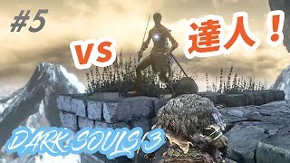 【ダークソウル３】火継の祭祀場へ！達人強すぎん？！【初見実況】#5