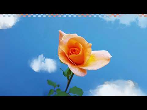 POOLCLVB - Runaway feat. Güs