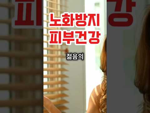 젊음을 유지하는 비결! 피부와 건강을 위한 항산화 식품