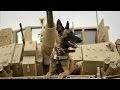 MAX Movie Trailer Dog Family Adventure Movie HD