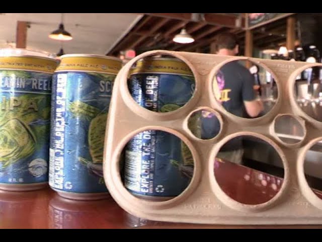 Un packaging para latas que respeta la vida marina