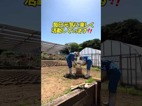 商学科 都立園芸高等学校ショートムービー
