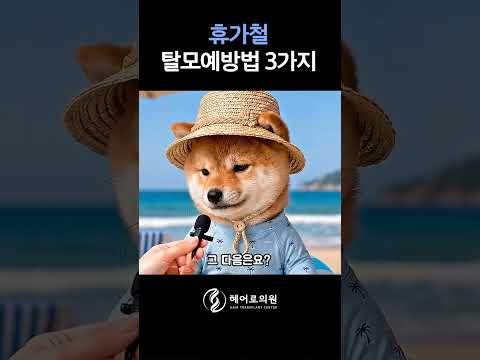 여름 휴가 필수템보다 중요한 '이것'? 탈모예방법 3가지