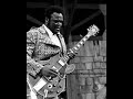 Freddie King - Cabooze Minneapolis, Minnesota. 1974