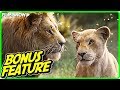 THE LION KING | All Released Bonus Features [Blu-Ray/DVD 2019]