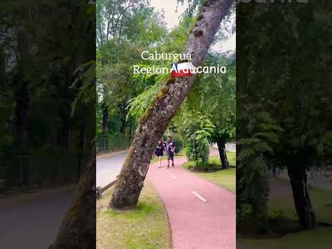 Caburgua Lago #pucon #chile #caburgua #araucania #verano