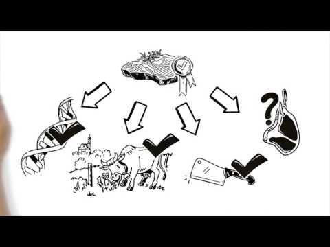 Murnau-Werdenfelser Rind – Fleischreifung