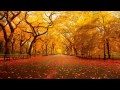 Extremely Loud & Incredibly Close Soundtrack - Alexandre Desplat