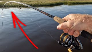 Using Live Mullet and Gulp for THIS Endangered NC FISH
