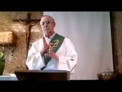 Domingo XV del Tiempo Ordinario (A) 10 de julio de 2011