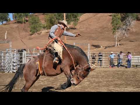 Day 1 Bronc School 10-28-21 | Veater Ranch