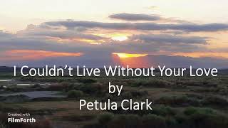 Petula Clark - I Couldn&#39;t Live Without Your Love