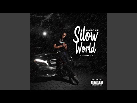 Birds (feat. Shreez)