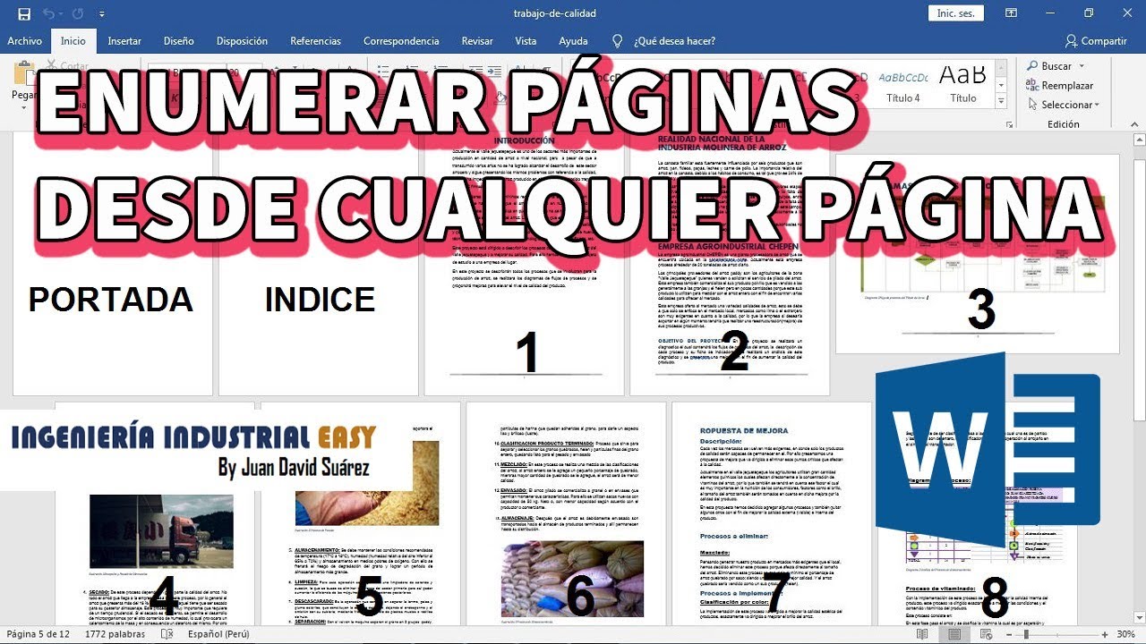 ENUMERAR PAGINAS EN WORD DESDE CUALQUIER PAGINA 2019