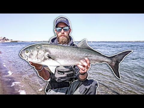 Using FORBIDDEN Lure To Catch MONSTER Bluefish!!