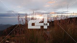 فيديو - النسيم يحرك الأشجار بين الجبال ، جنوب السع...