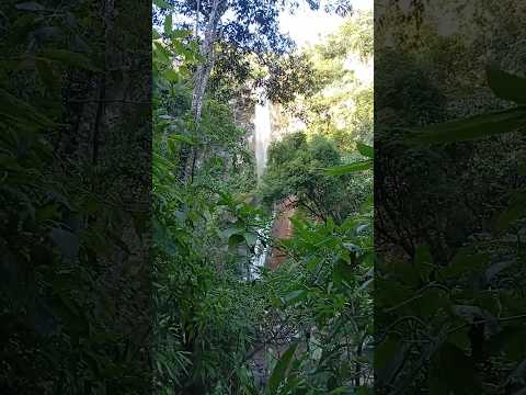 Cascata de Nova Hartz #03 | Um Refúgio Natural no RS 🌿 #paisagemnatural #cascata #natureza