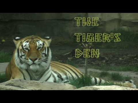 June 30th Power Trading Hour with David White on TFNN   2016